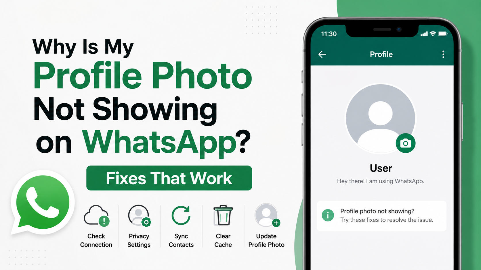 Why Is My Profile Photo Not Showing on WhatsApp? Fixes That Work